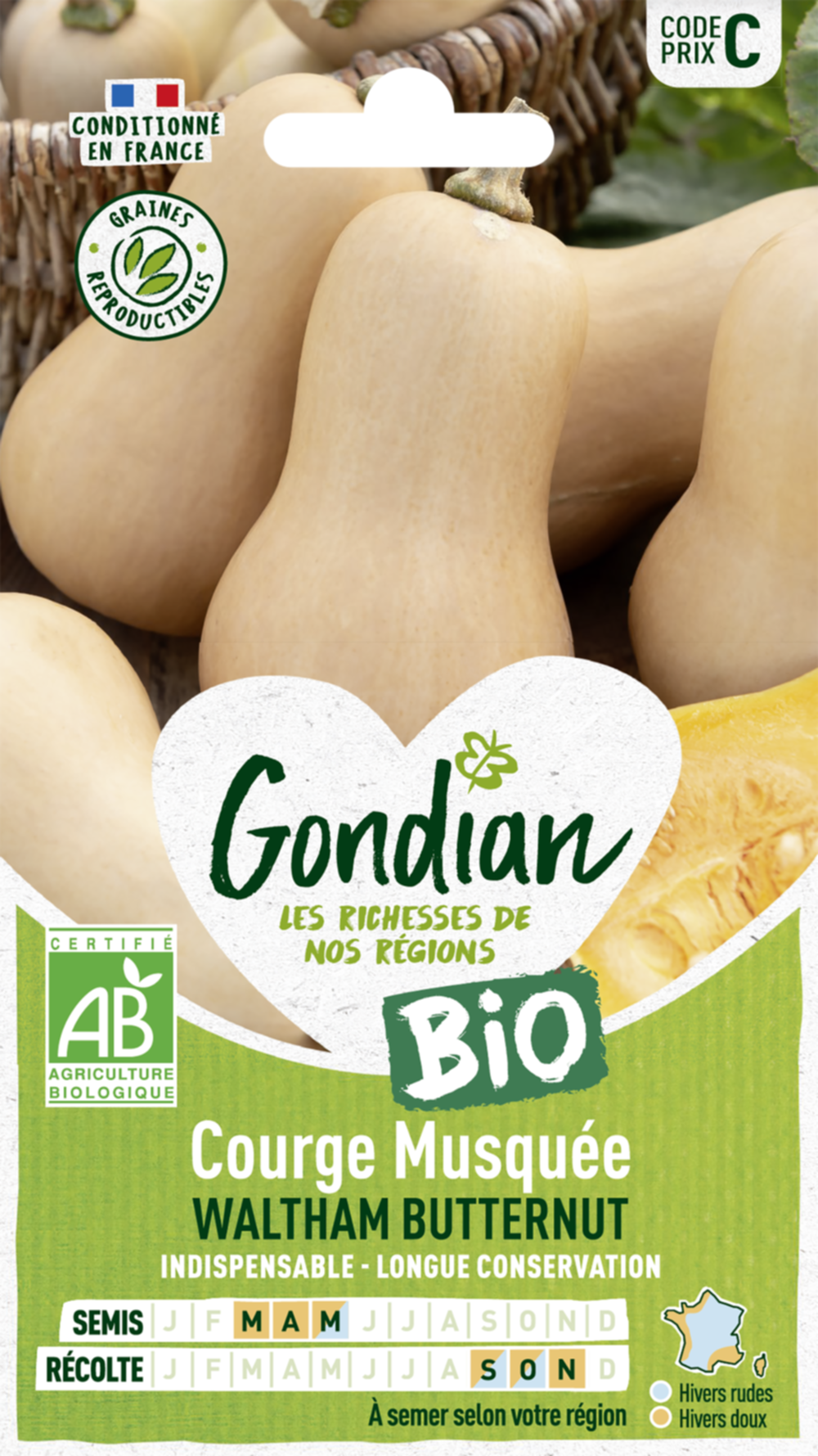 Courge Musquée Waltham Butternut Bio - GONDIAN