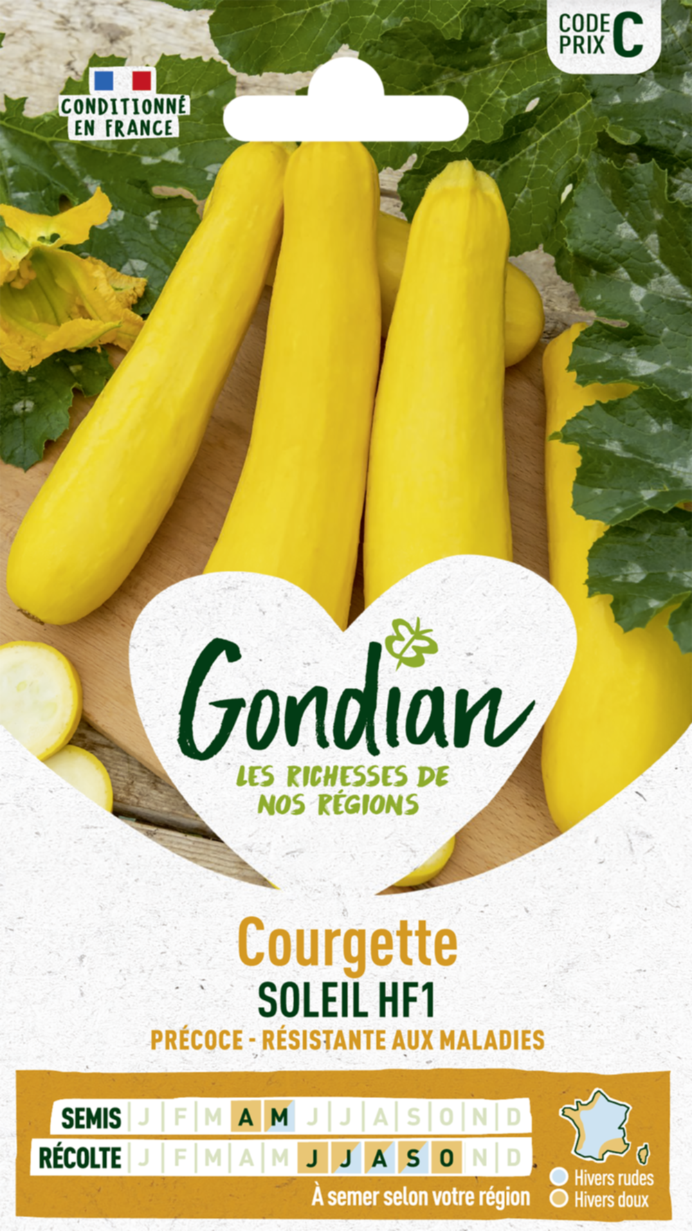 Courgette Soleil HF1 - GONDIAN