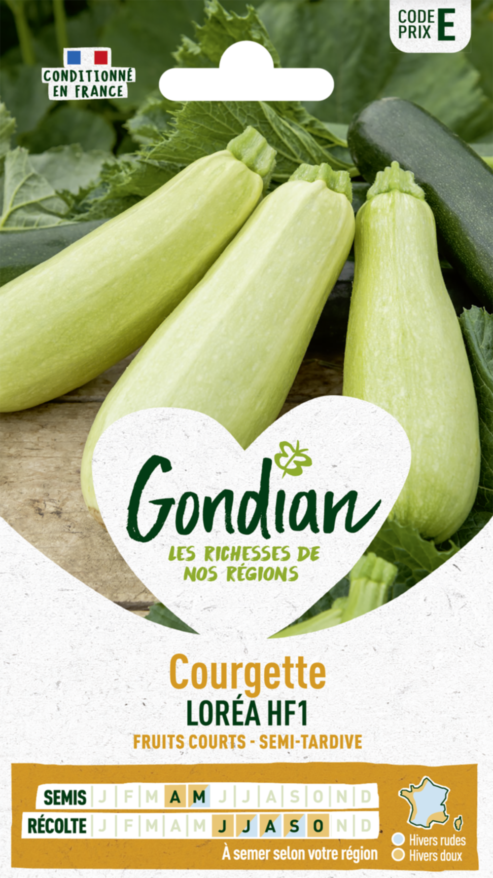 Courgette Loréa HF1 - GONDIAN