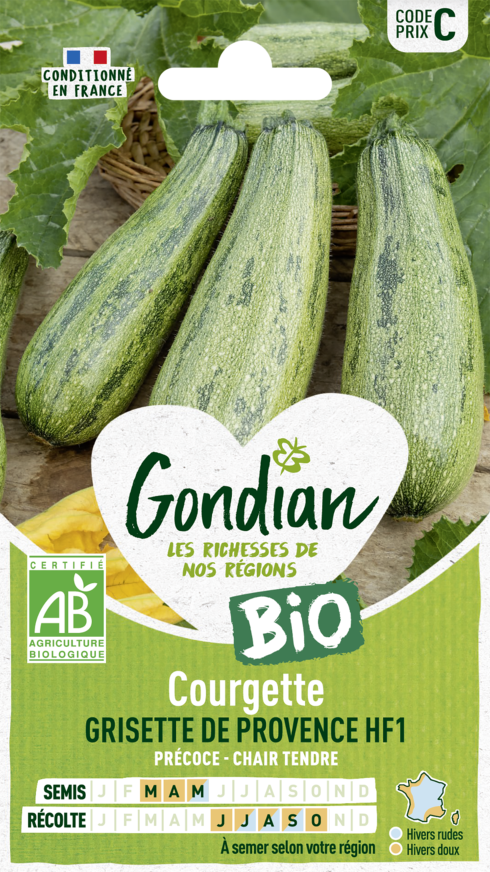 Courgette Greyzini HF1 Bio - GONDIAN