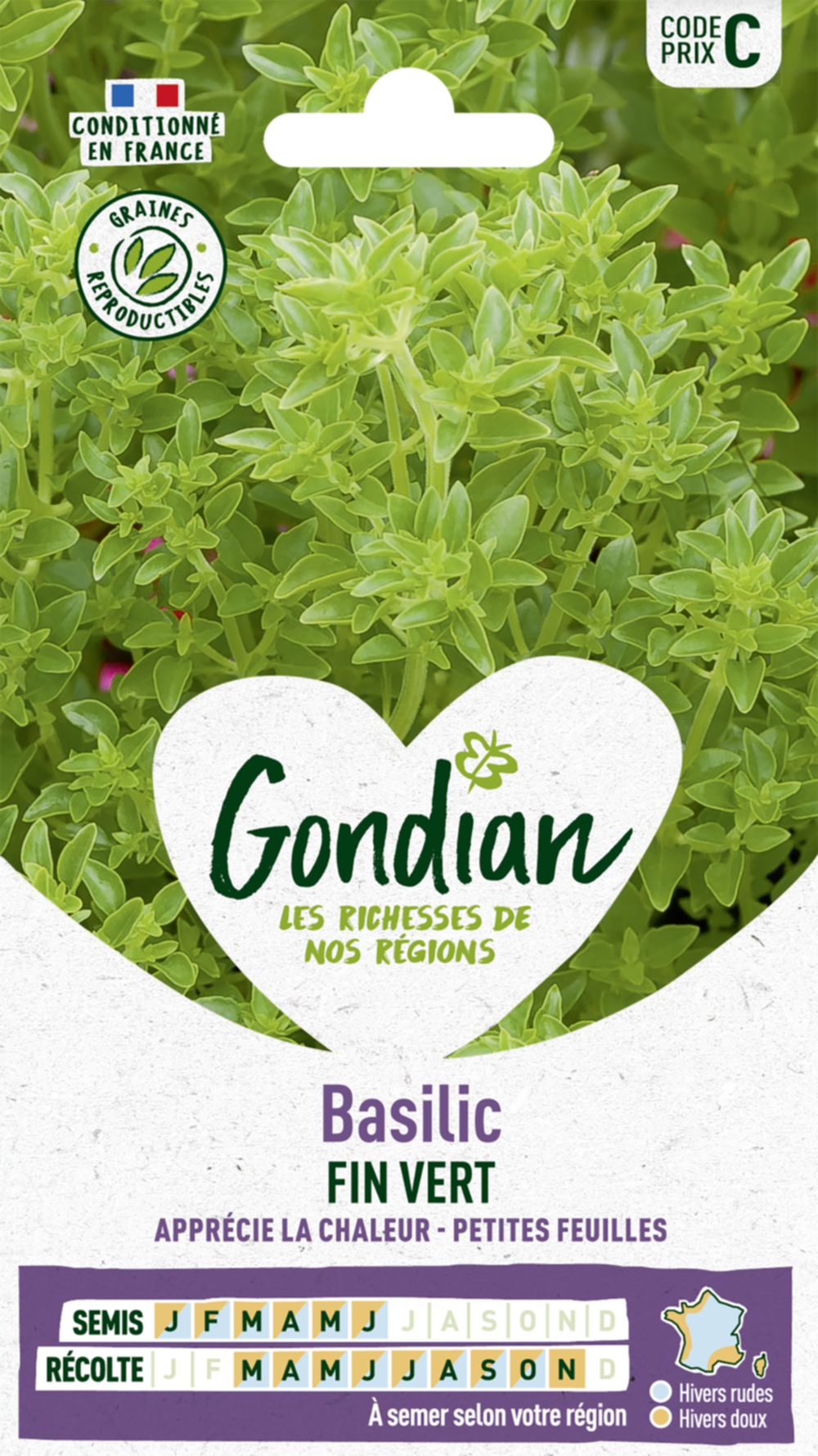 Basilic Fin Vert - GONDIAN