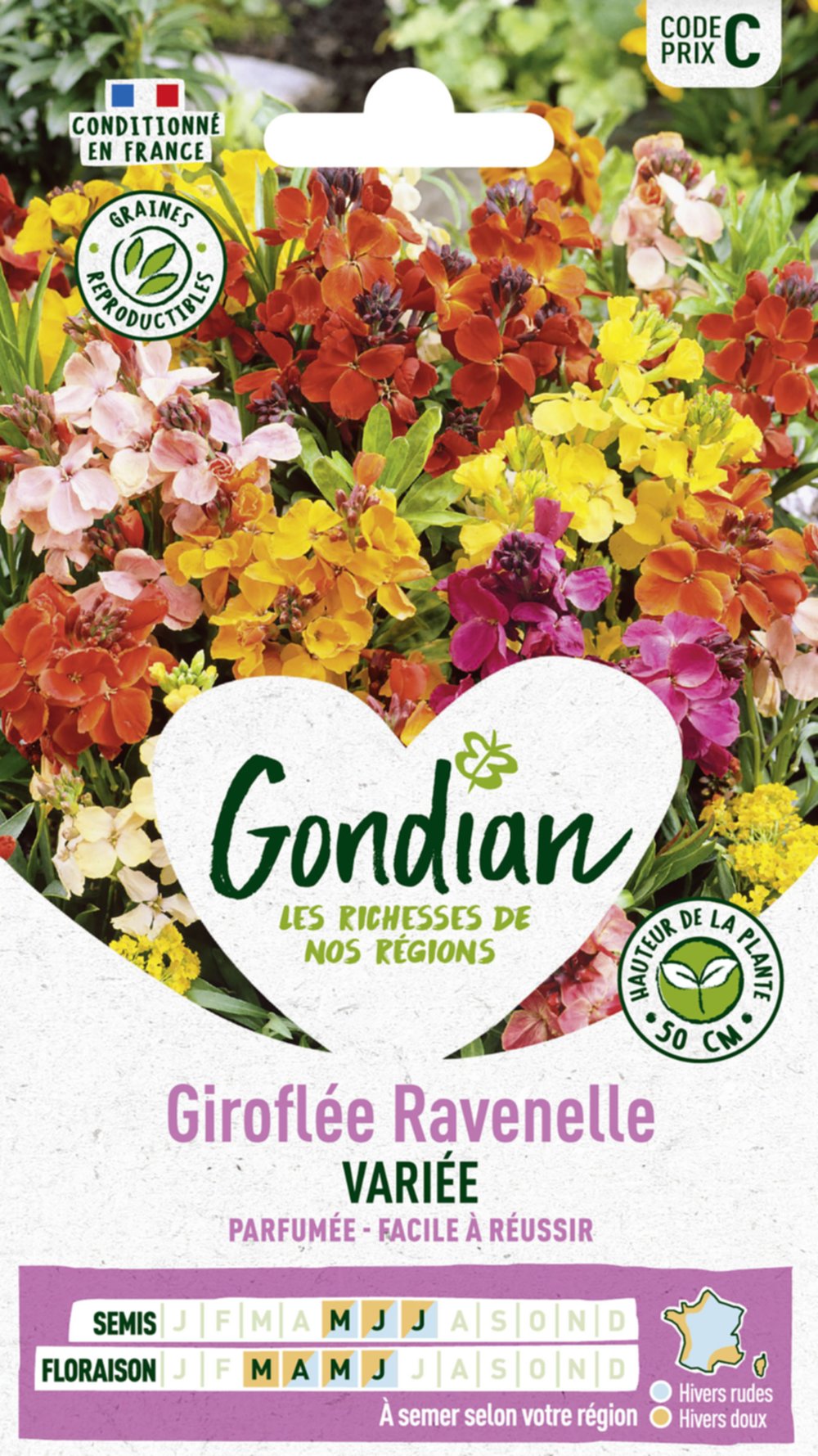 Giroflée Simple Variée - GONDIAN