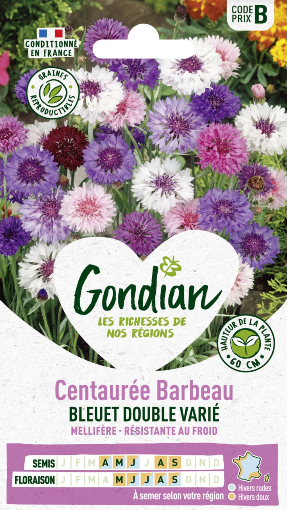 Centaurée Bleuet Double Variée - GONDIAN