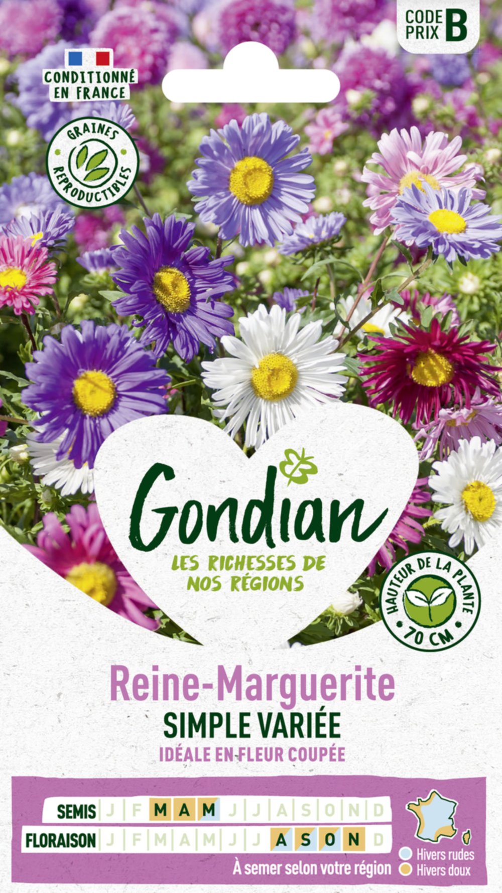 Reine-Marguerite Simple Variée - GONDIAN