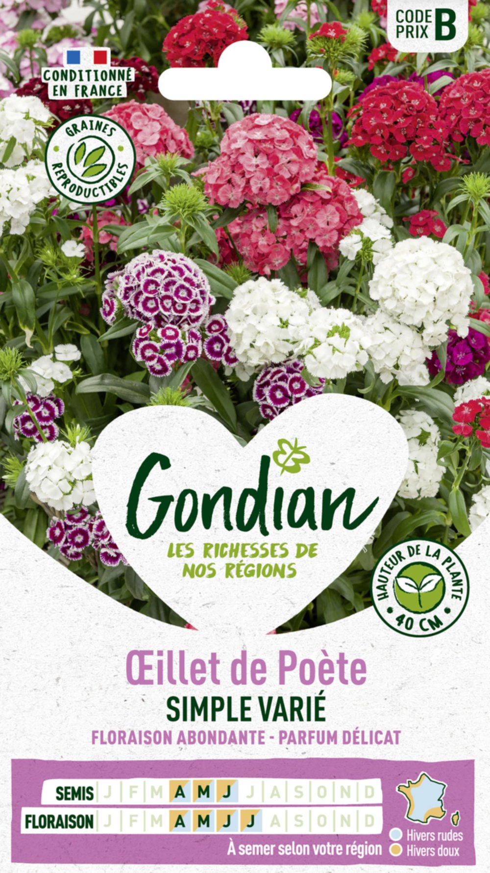 Œillet de Poète Hirondelle en Mélange - GONDIAN