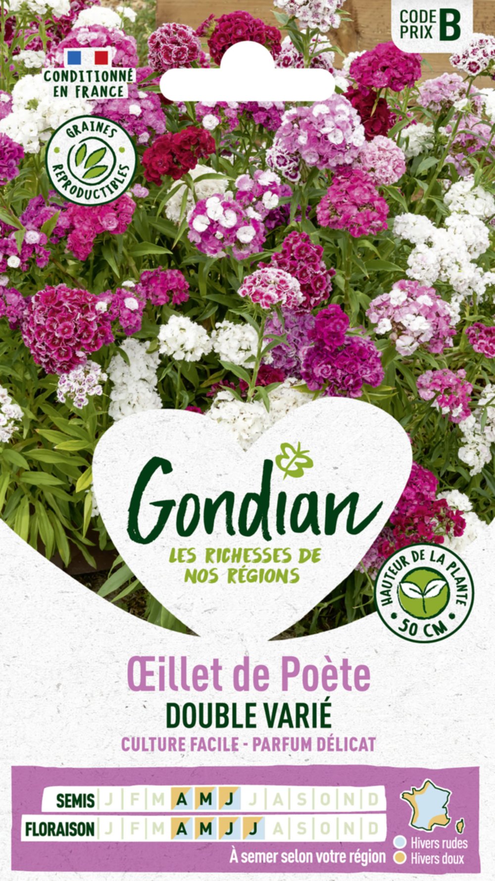 Œillet de Poète Double Varié - GONDIAN