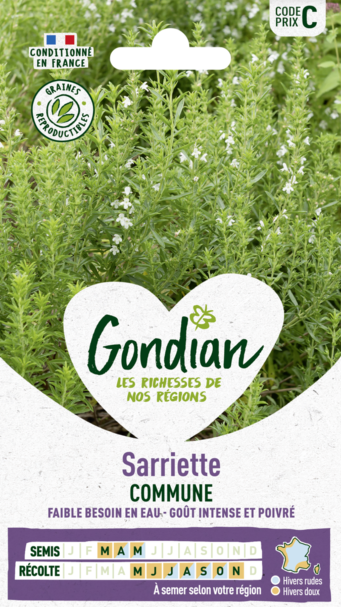 Sarriette Commune - GONDIAN