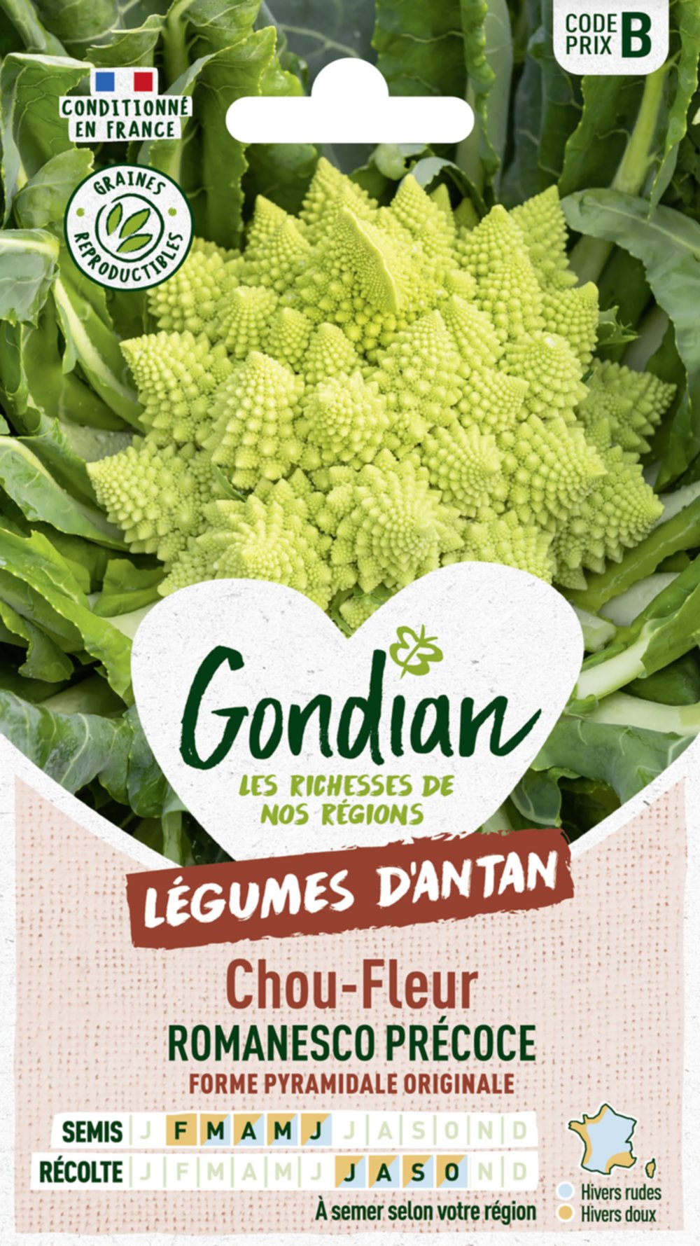 Chou-Fleur Romanesco Natalino - GONDIAN