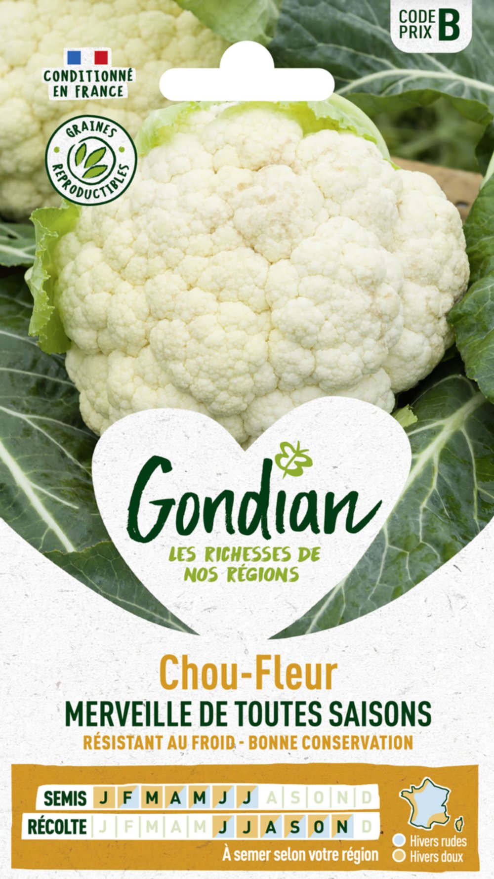 Chou-Fleur Merveille des 4 Saisons - GONDIAN