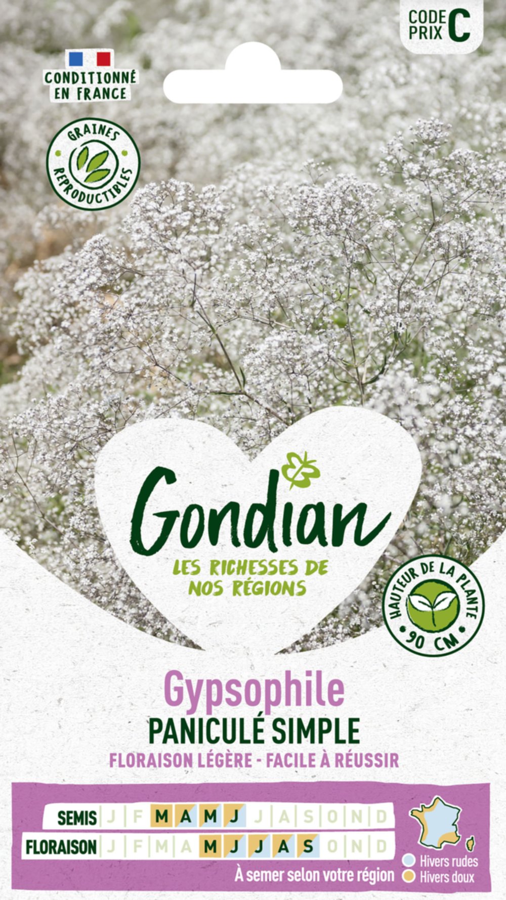 Gypsophile Paniculé Simple - GONDIAN