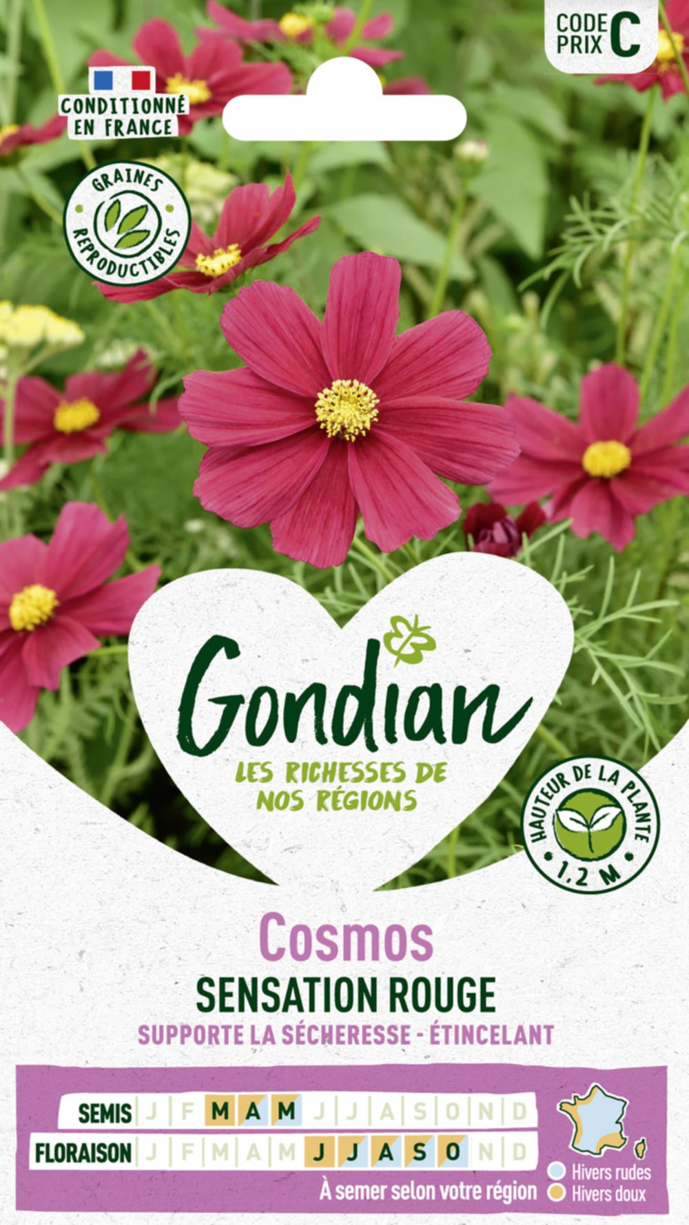 Cosmos Sensation Rouge - GONDIAN