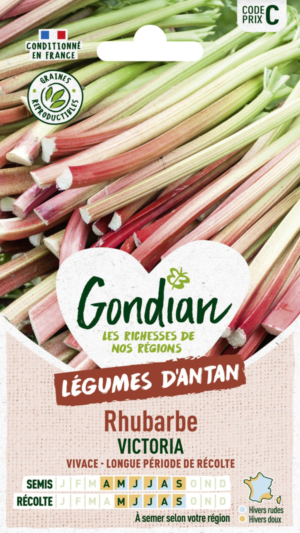 Rhubarbe Victoria - GONDIAN