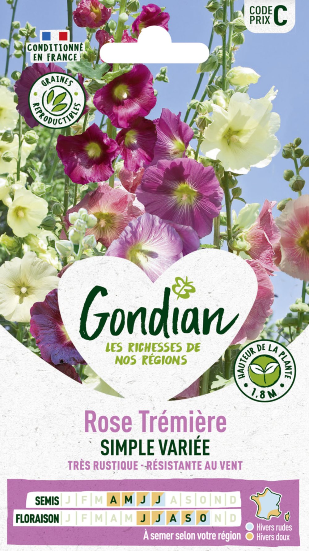 Rose Trémière Simple Variée - GONDIAN