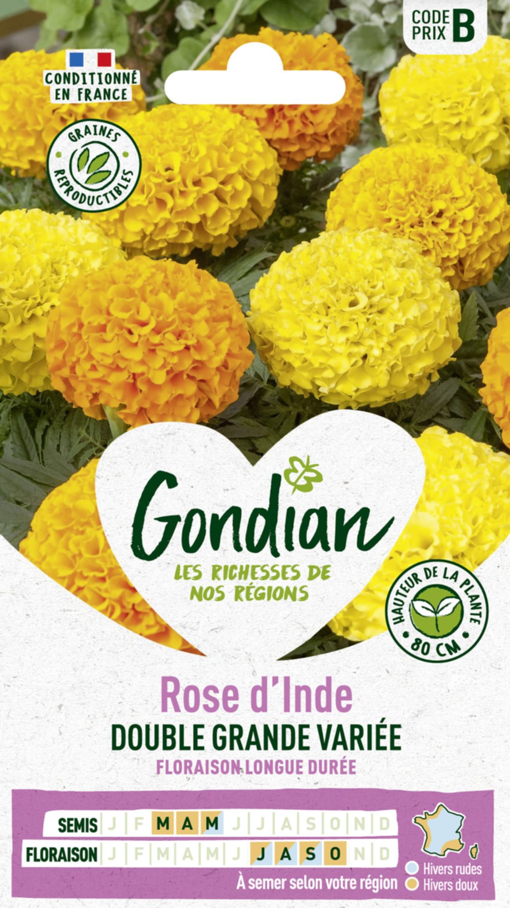 Rose d'Inde Double Grande Variée - GONDIAN