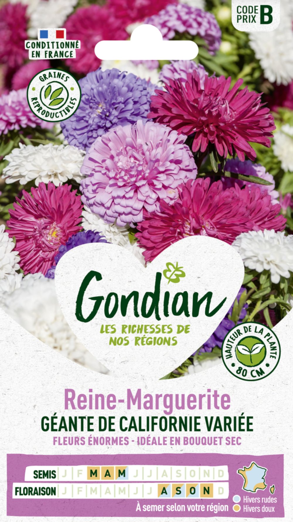 Reine-Marguerite Géante de Californie Variée - GONDIAN