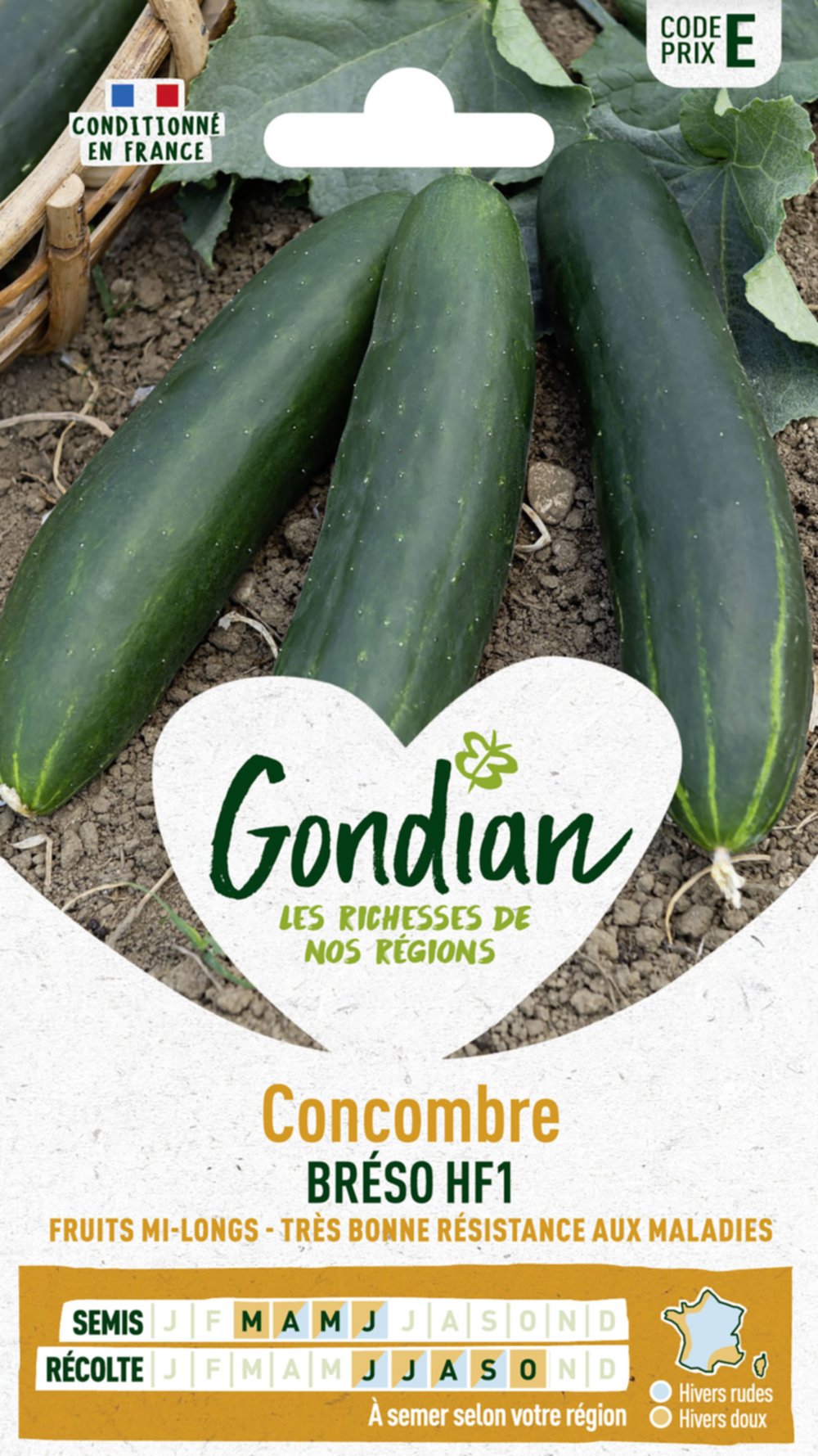 Concombre Breso HF1 - GONDIAN