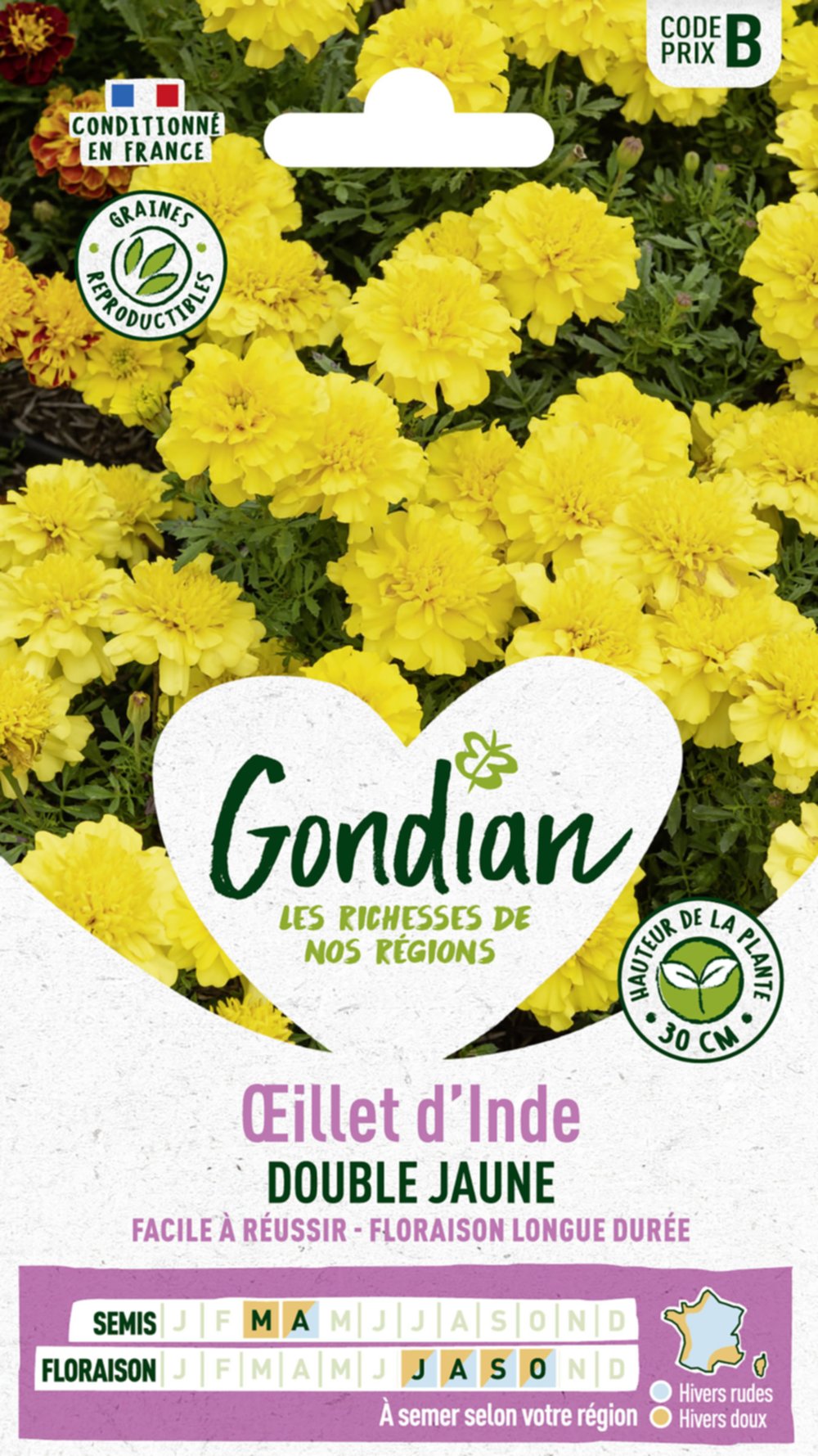 Œillet d'Inde Petite Yellow - GONDIAN