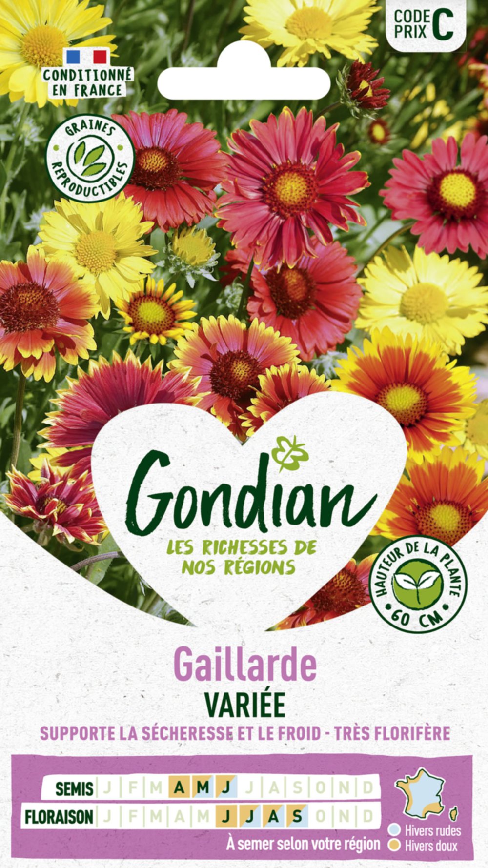 Gaillarde Vivace Variée - GONDIAN