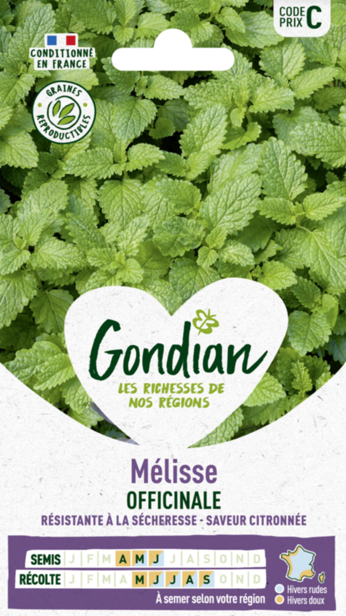 Mélisse Officinale - GONDIAN