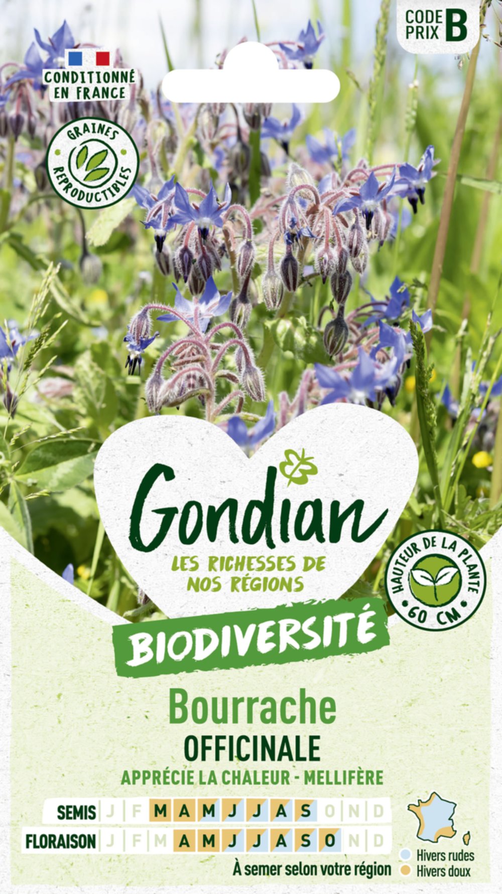 Bourrache Officinale - GONDIAN