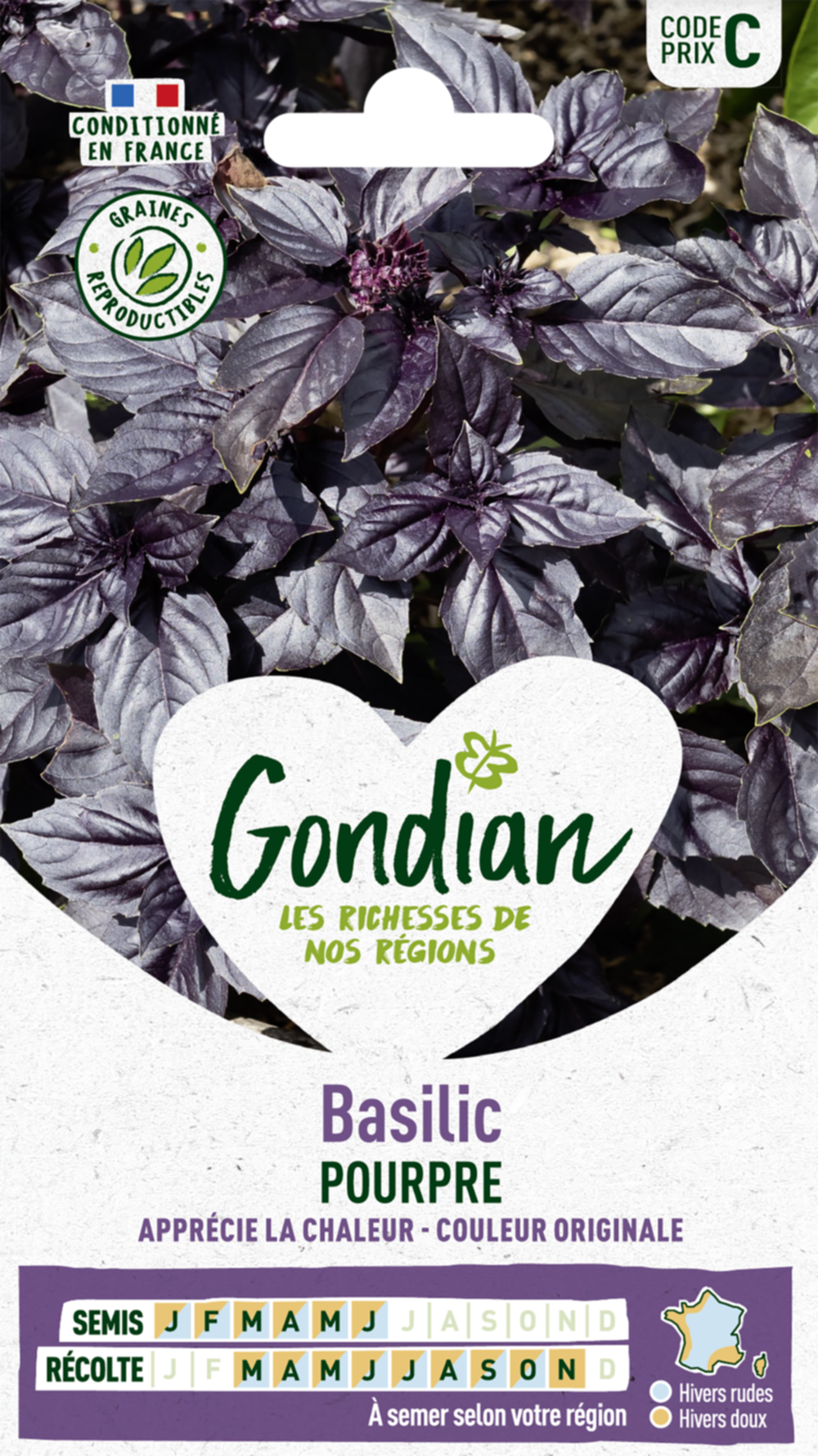 Basilic Pourpre - GONDIAN