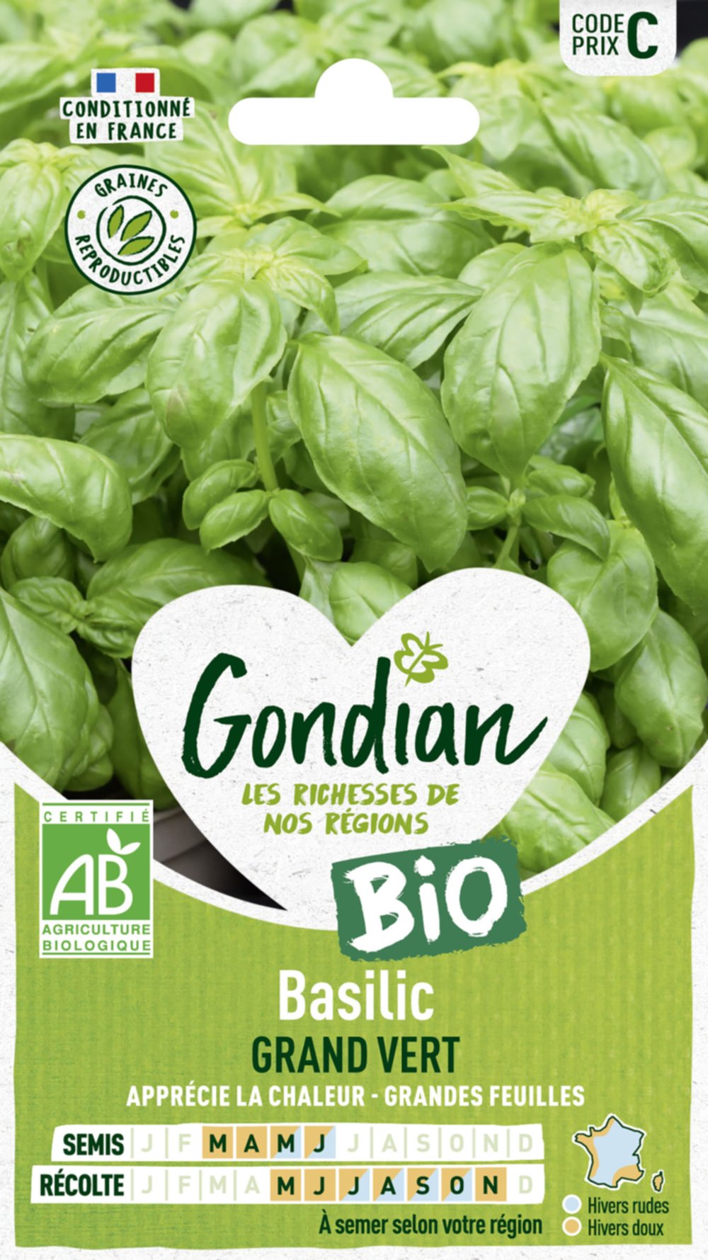 Basilic Grand Vert Bio - GONDIAN