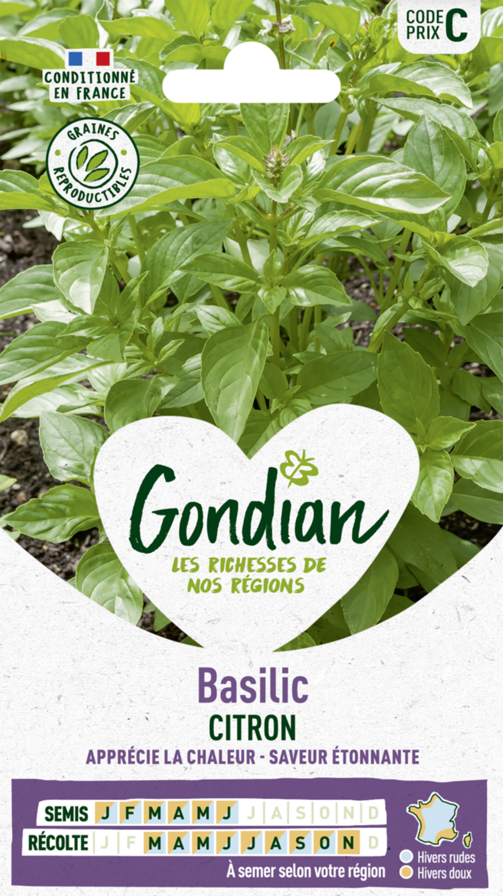 Basilic Citron - GONDIAN