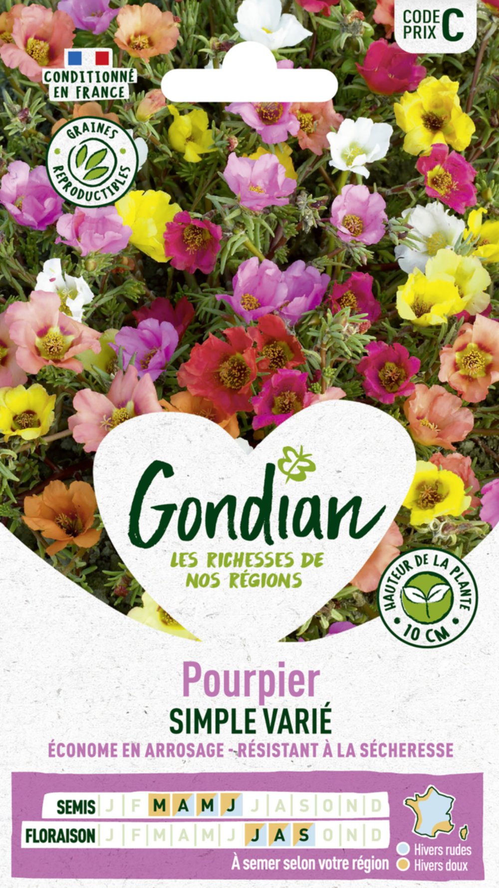 Pourpier Simple Varié - GONDIAN