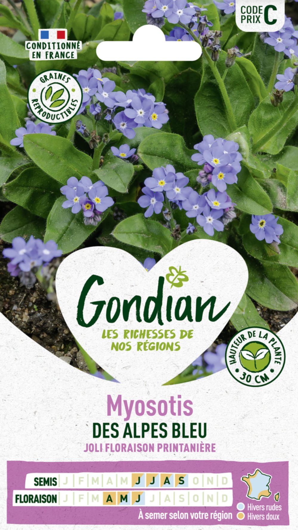 Myosotis des Alpes Bleu - GONDIAN