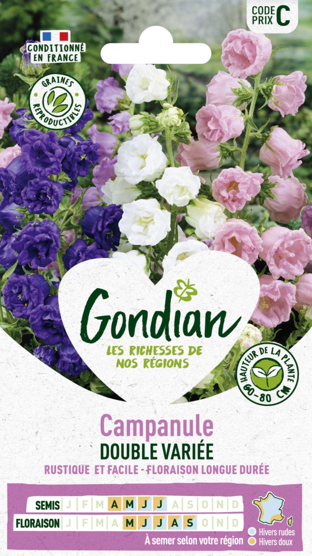 Campanule Double à Grande Fleur Variée - GONDIAN