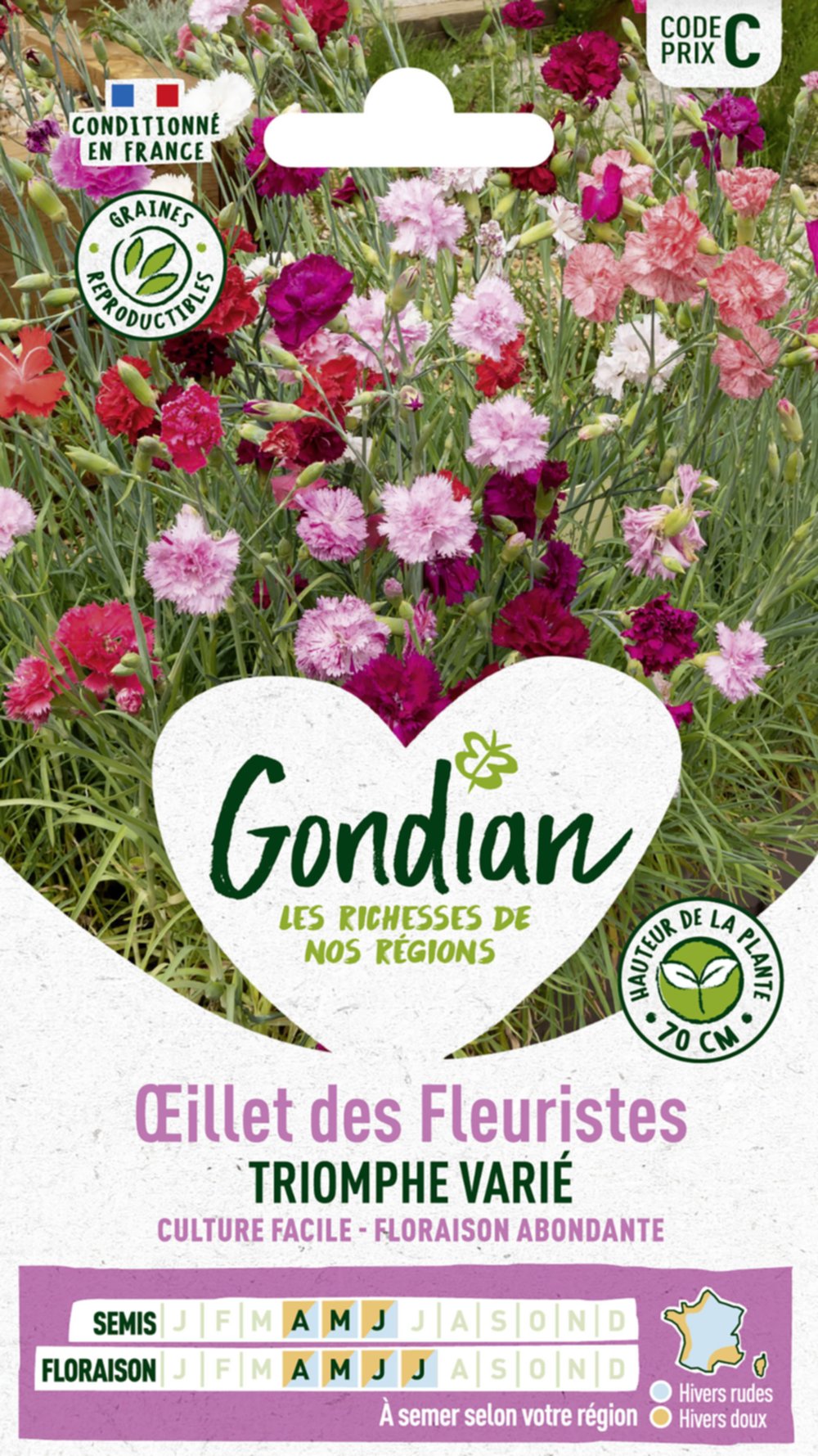 Œillet des Fleuristes Triomphe Varié - GONDIAN