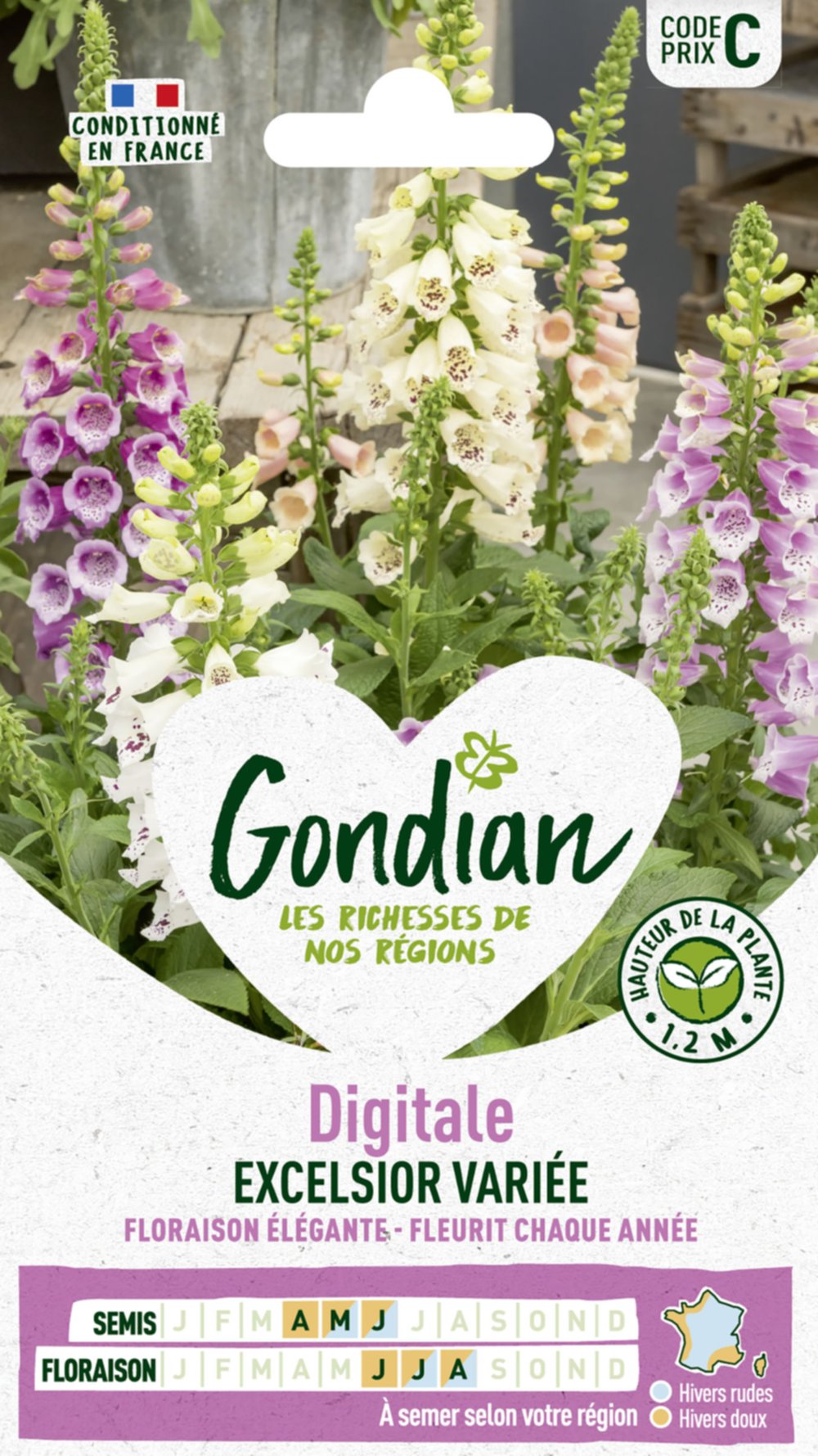 Digitale Excelsior Variée - GONDIAN