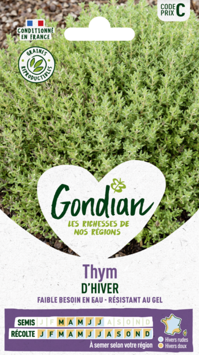 Thym Ordinaire - GONDIAN