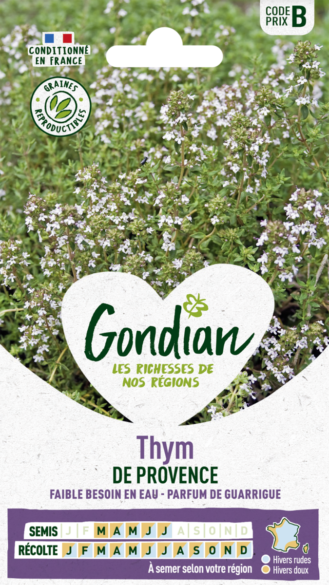 Thym de Provence - GONDIAN