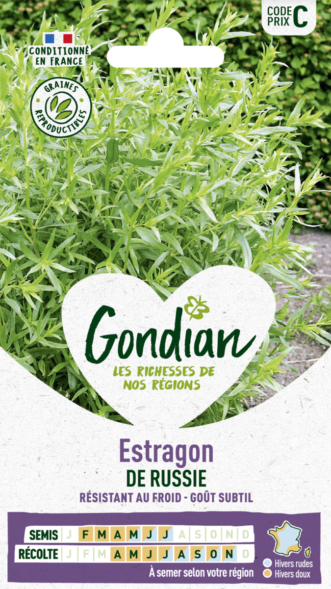 Estragon de Russie - GONDIAN