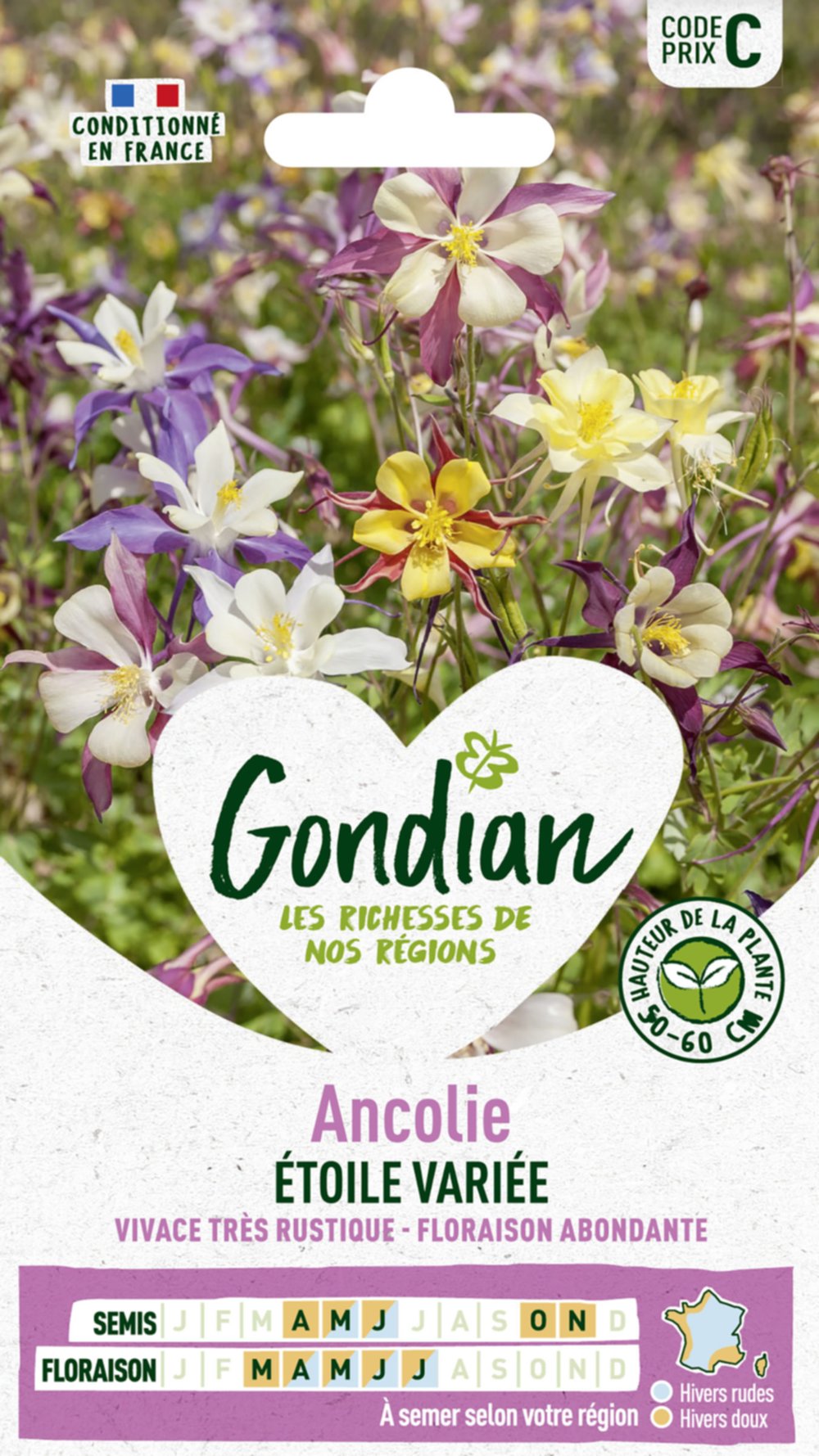 Ancolie Étoile Variée HF1 - GONDIAN