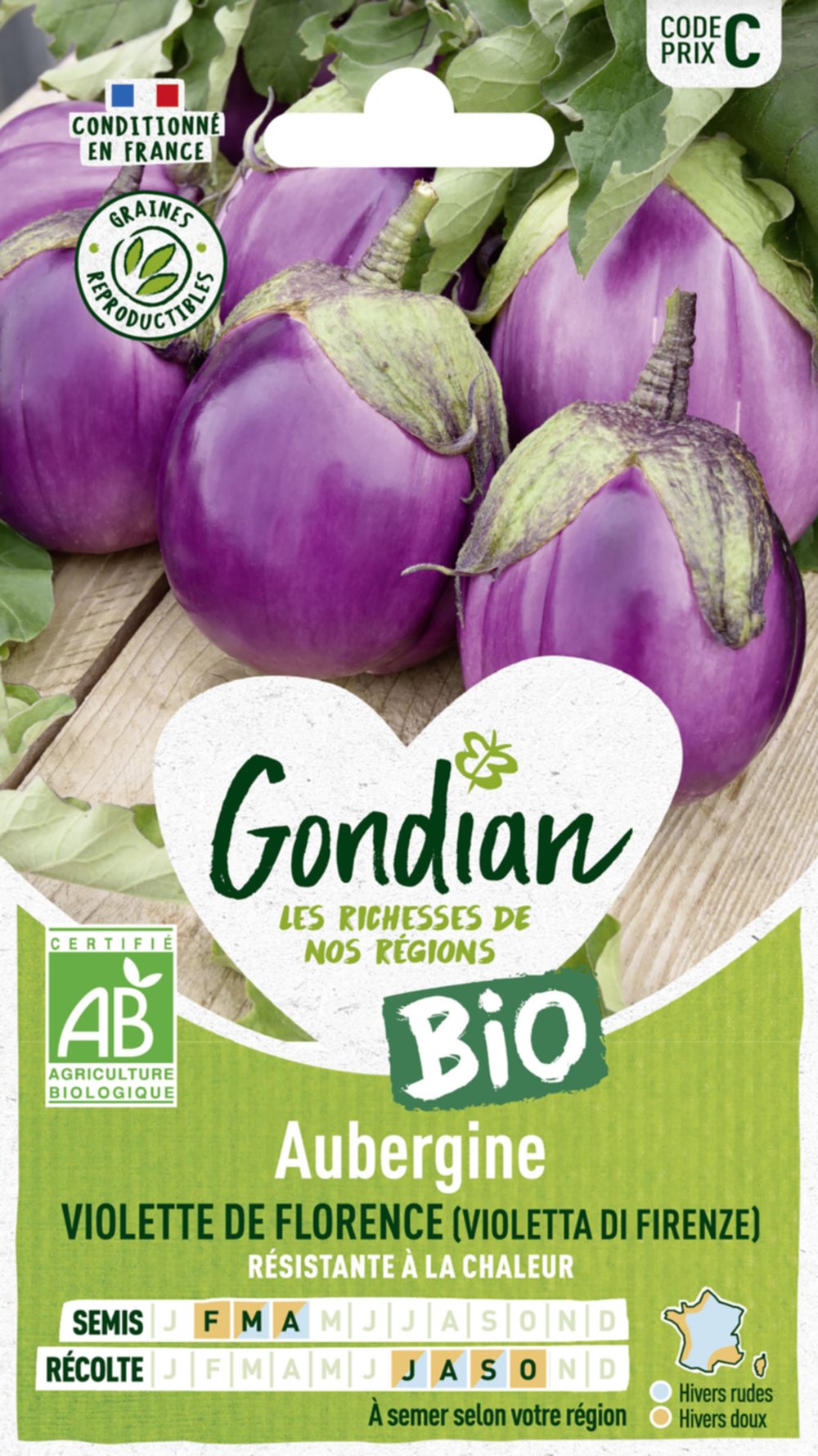 Aubergine Violetta di Firenze Bio - GONDIAN