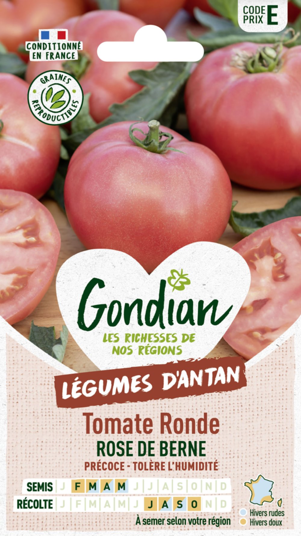 Tomate Rose de Berne - GONDIAN