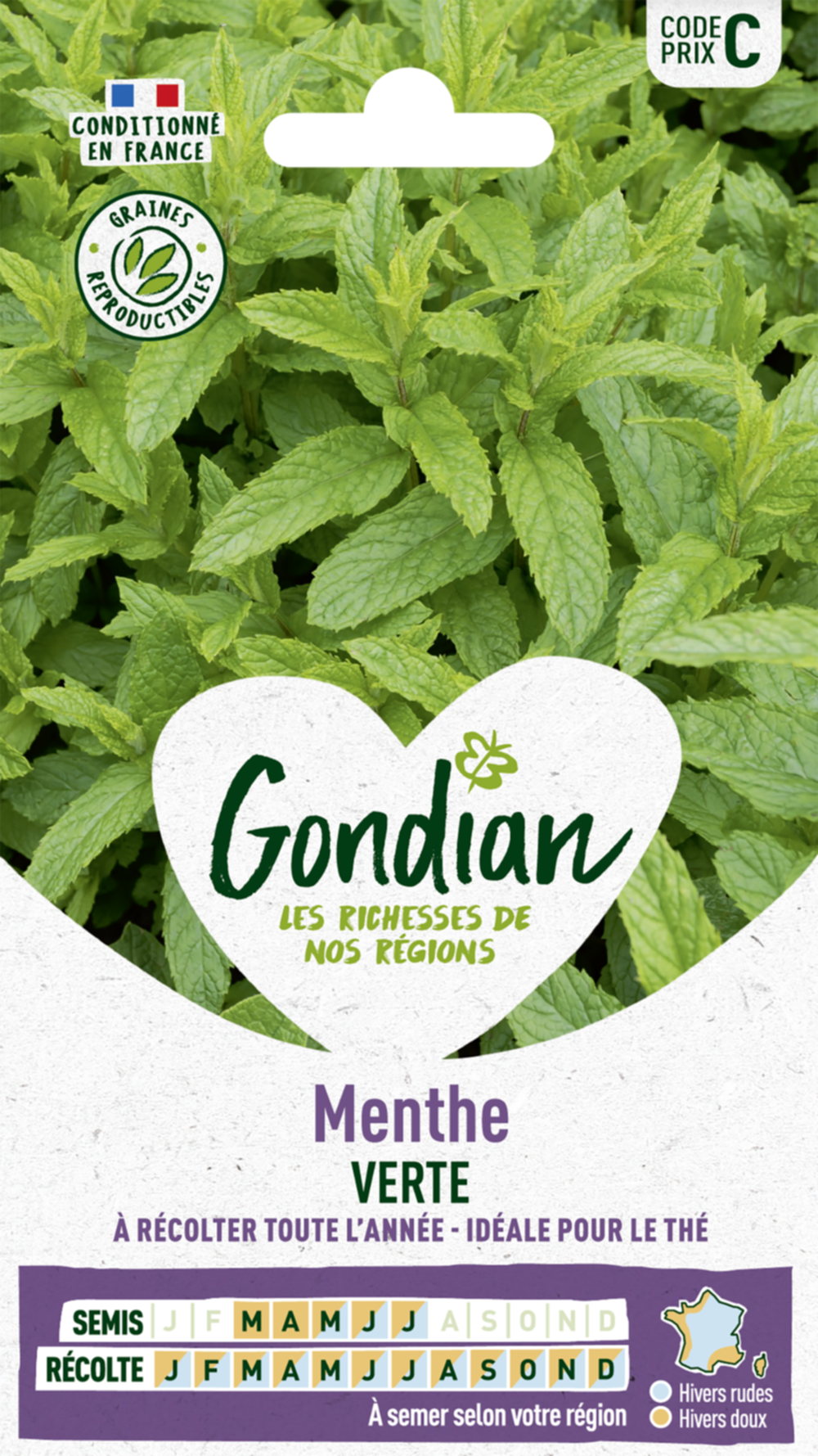 Menthe Verte - GONDIAN