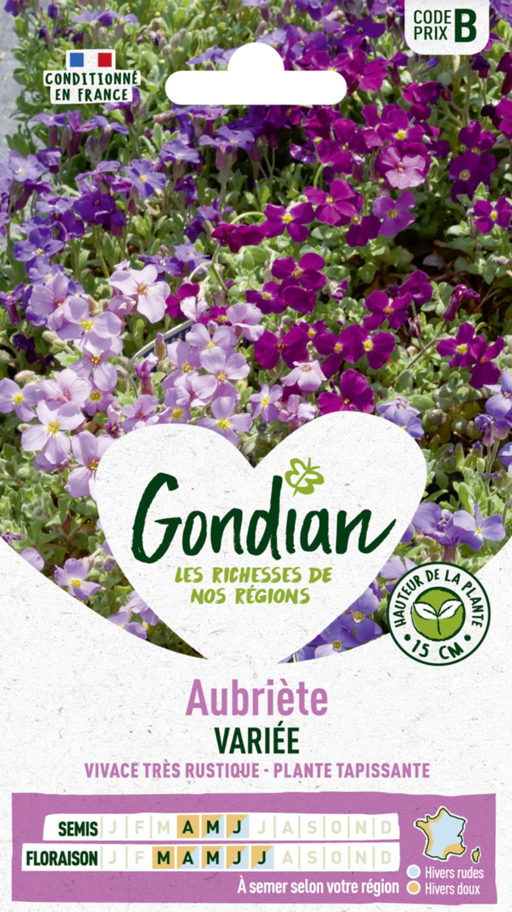 Aubrietia Hybride Variée - GONDIAN