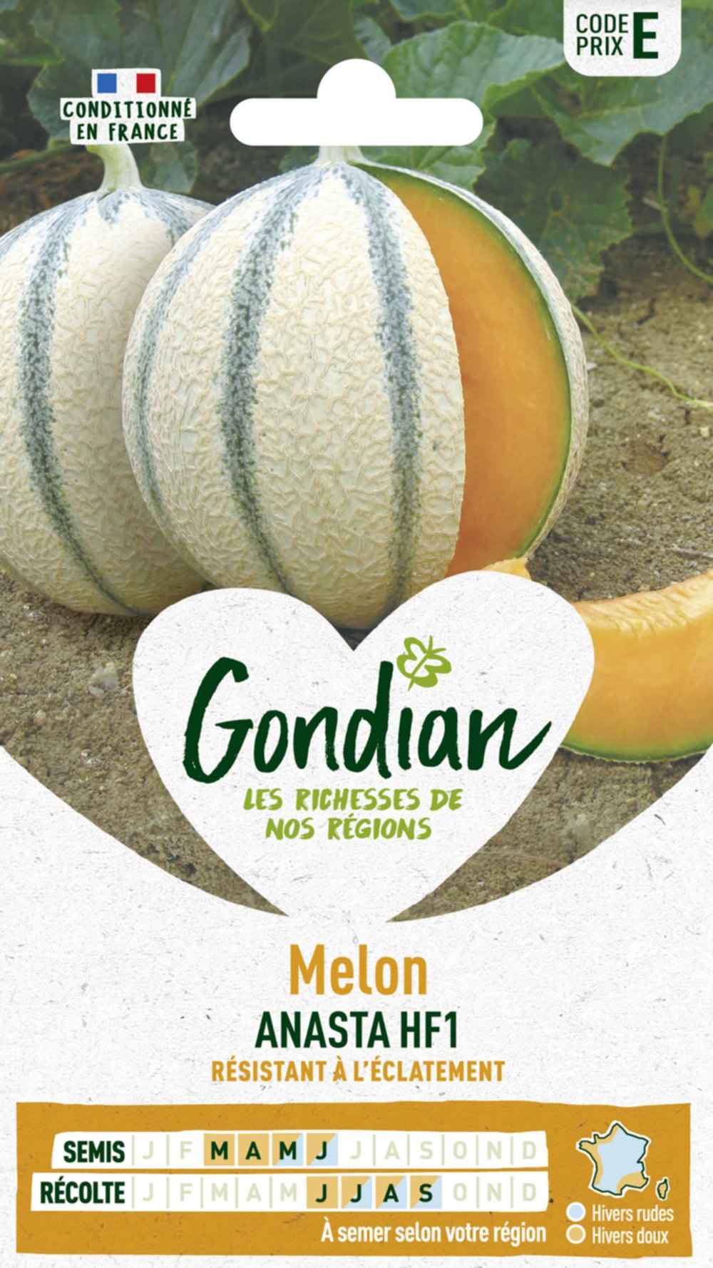 Melon Anasta HF1 - GONDIAN