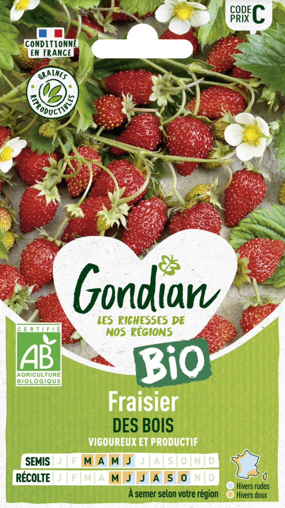 Fraisier des Bois Bio - GONDIAN