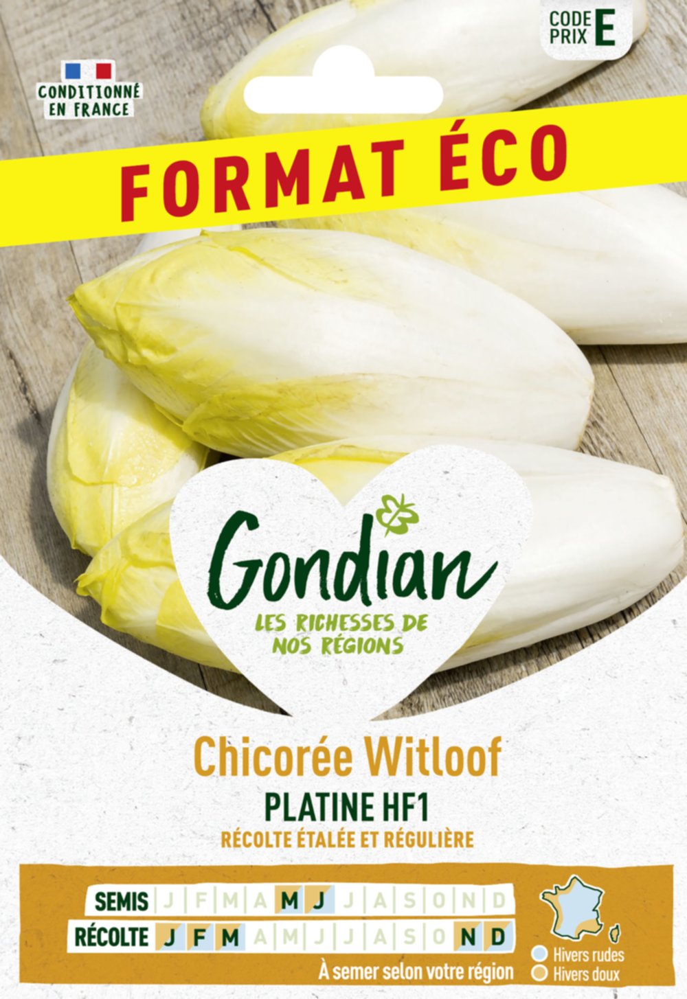 Chicorée Platine HF1 - GONDIAN