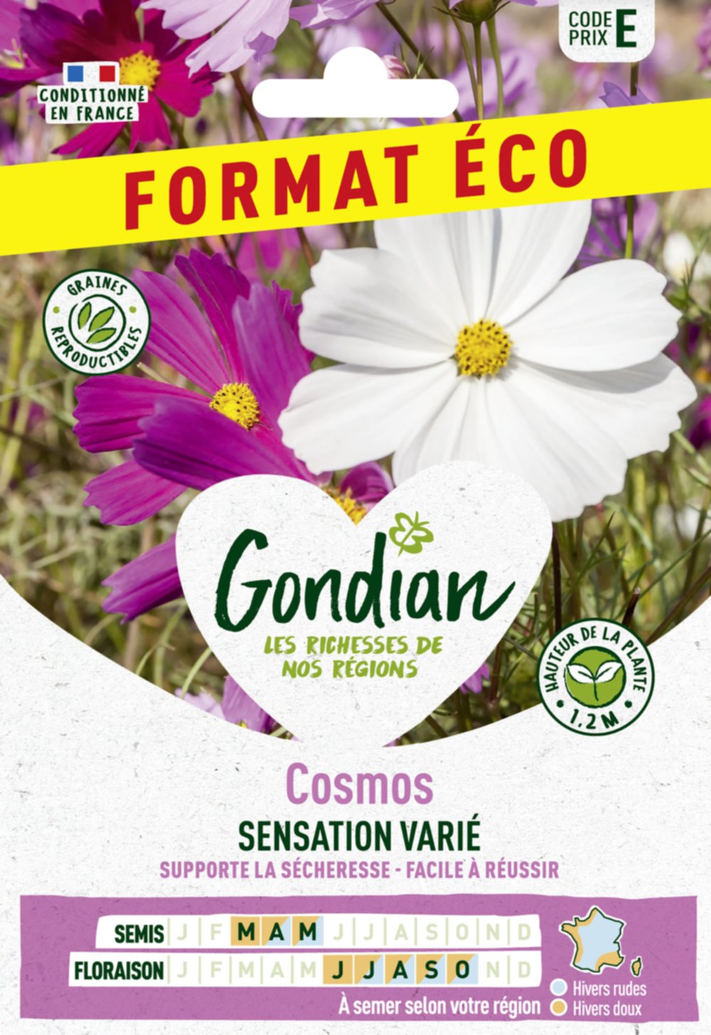 Cosmos Sensation Varié - GONDIAN