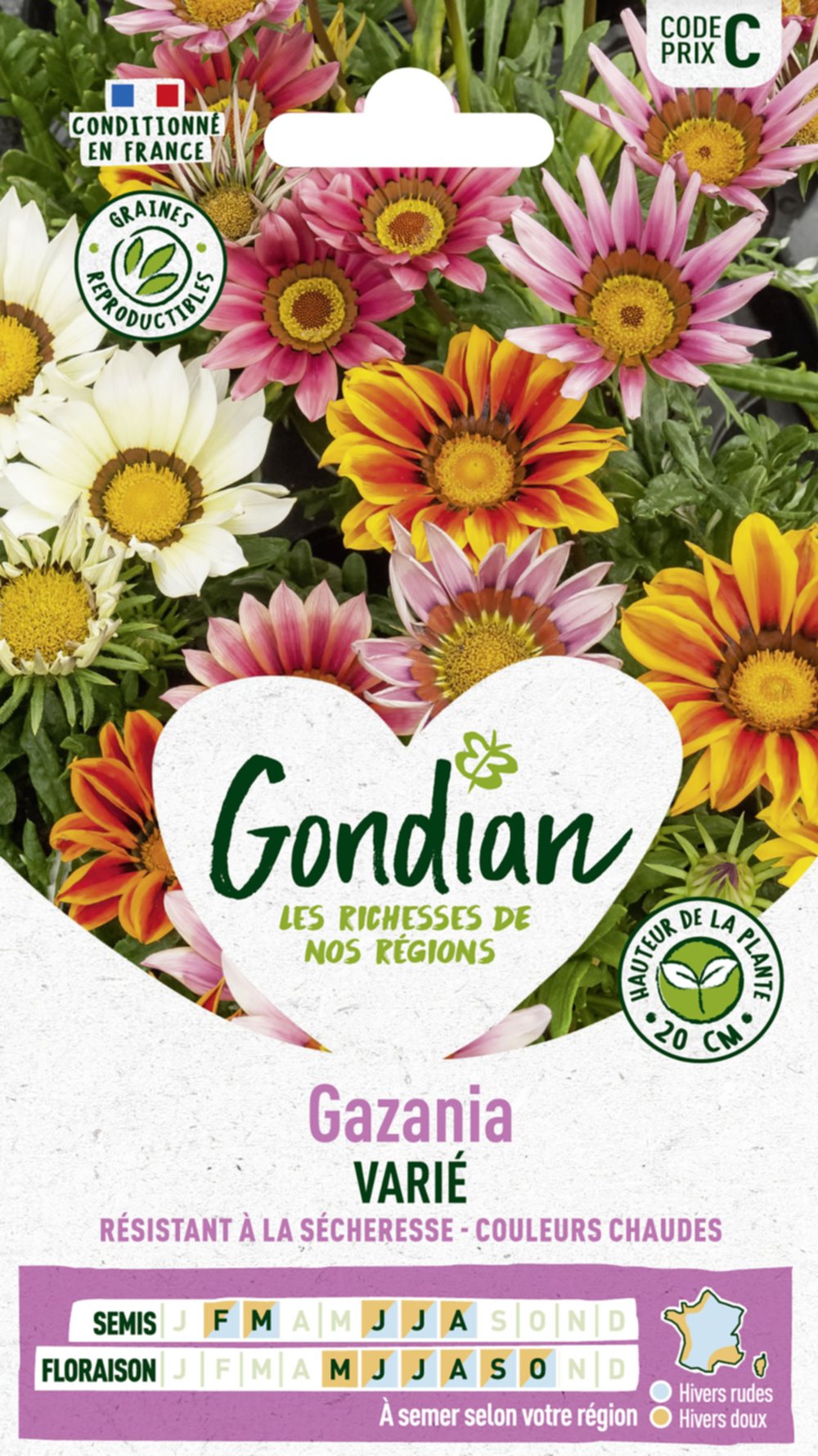 Gazania Splendens Varié - GONDIAN