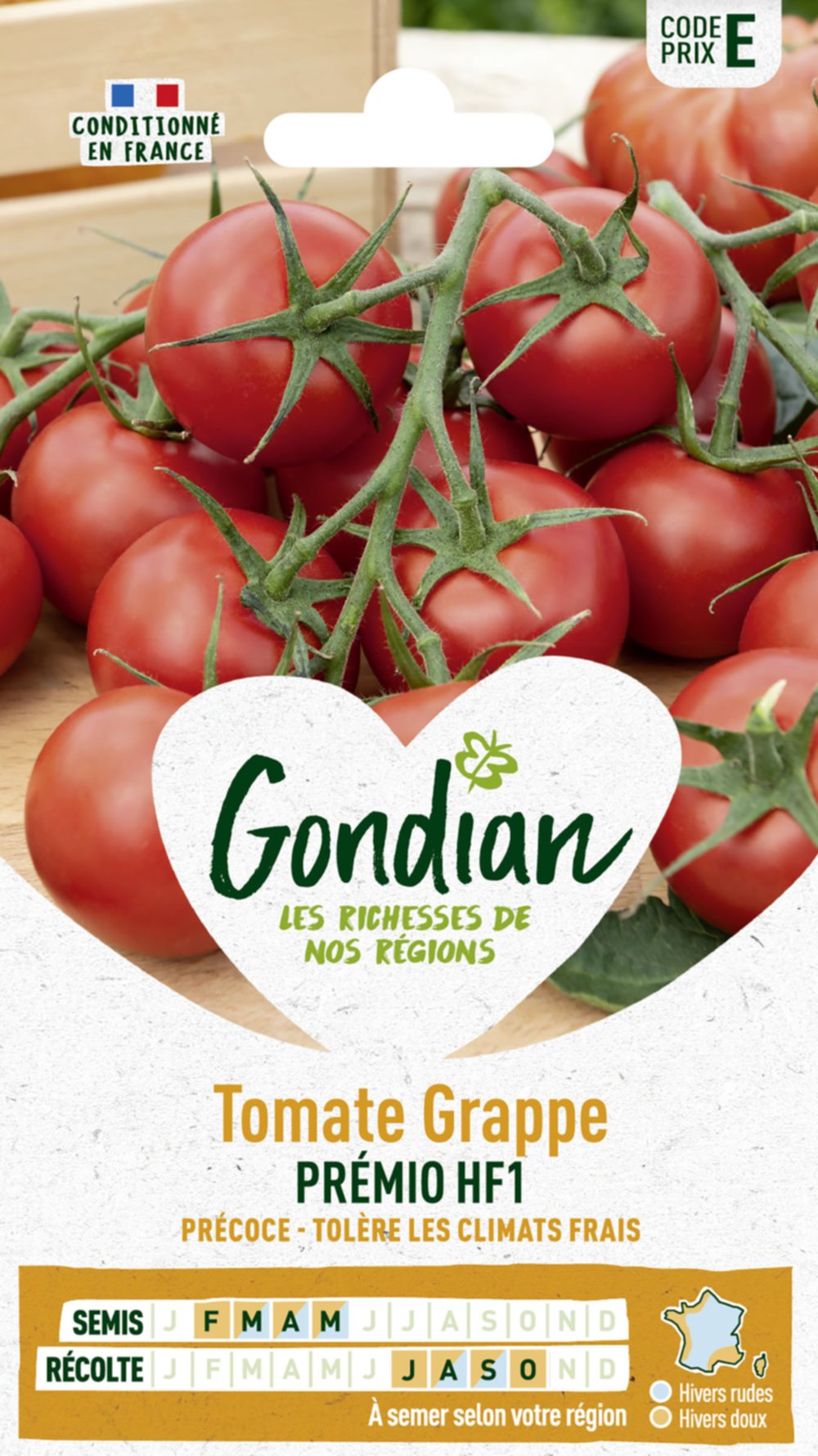 Tomate Premio HF1 - GONDIAN