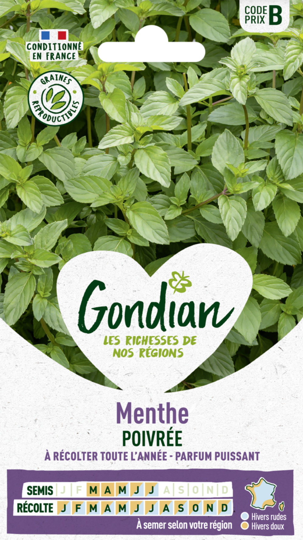 Menthe Poivrée - GONDIAN