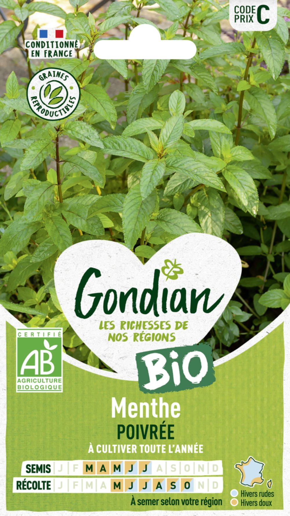 Menthe Poivrée Bio - GONDIAN