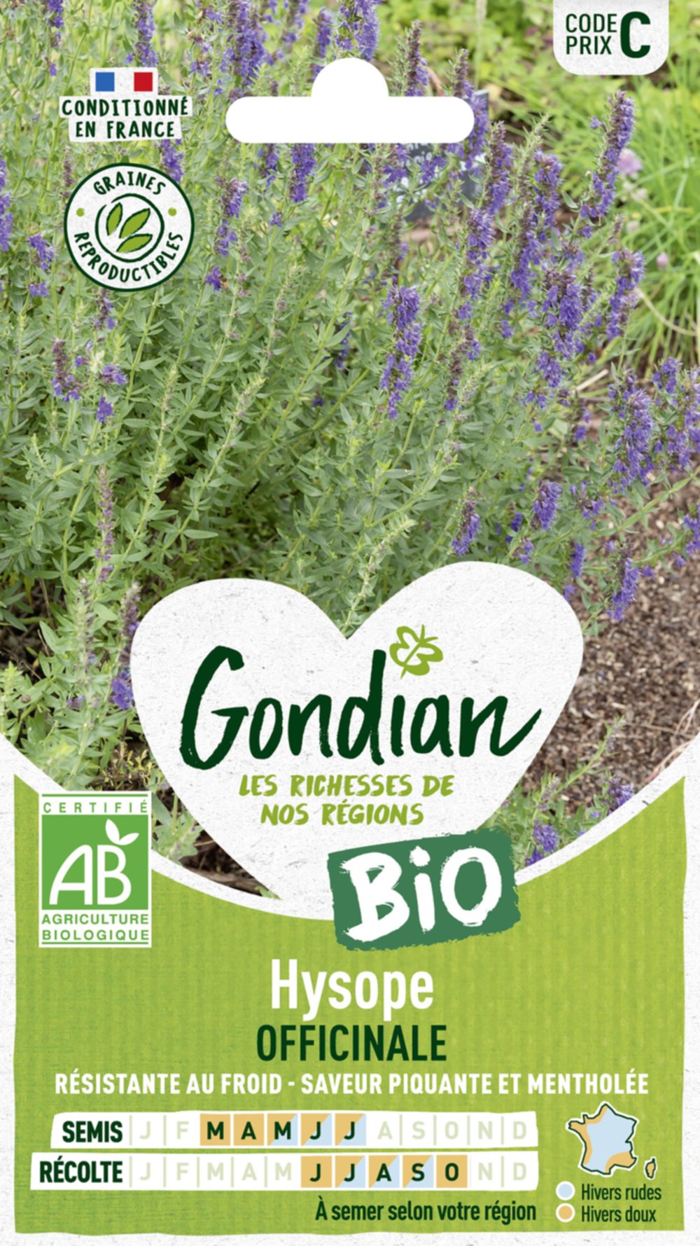 Hysope Officinale Bio - GONDIAN