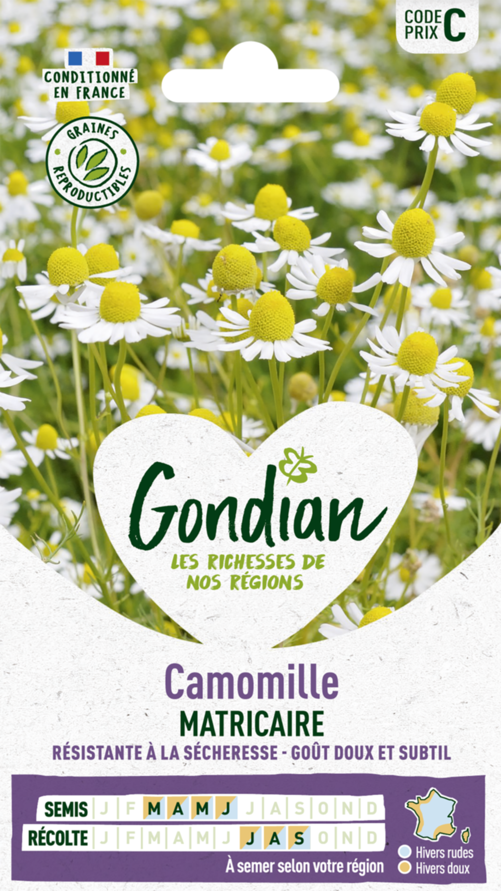 Camomille Ordinaire - GONDIAN